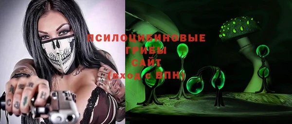 ПСИЛОЦИБИНОВЫЕ ГРИБЫ Абаза