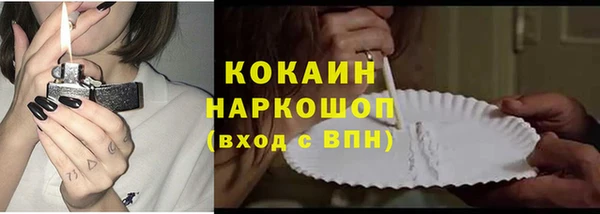ПСИЛОЦИБИНОВЫЕ ГРИБЫ Абаза