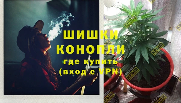 ПСИЛОЦИБИНОВЫЕ ГРИБЫ Абаза