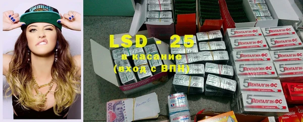 ПСИЛОЦИБИНОВЫЕ ГРИБЫ Абаза