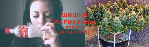 ПСИЛОЦИБИНОВЫЕ ГРИБЫ Абаза
