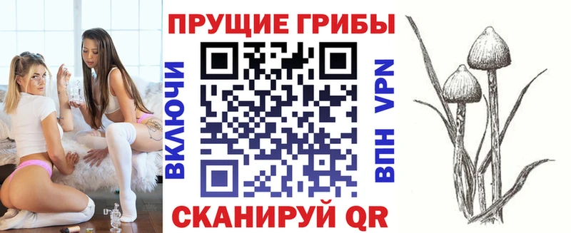 Псилоцибиновые грибы Cubensis  Киренск 
